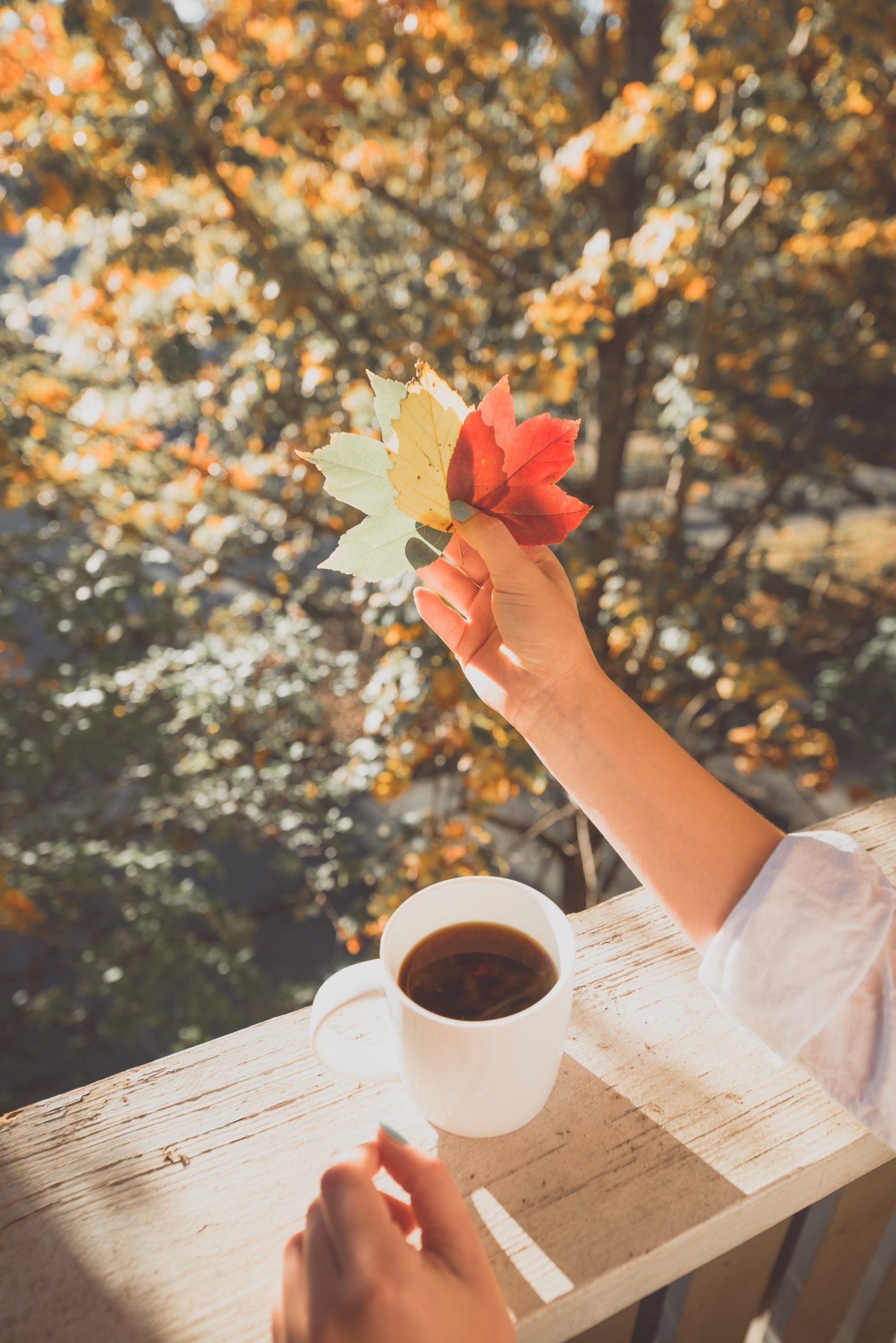 The Art of Functional Medicine