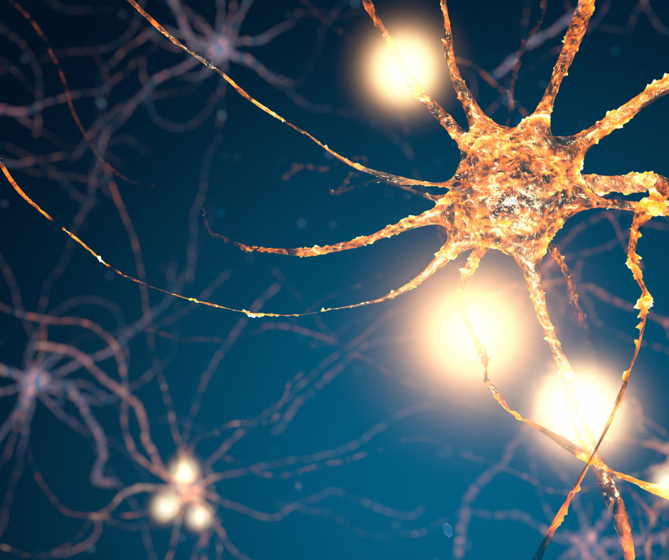 The Miracle For Your Brain That You’ve Been Looking For